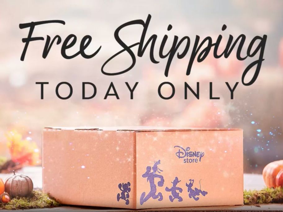 A Disnet Store Shipping Box with the words Free Shipping Today Only above it