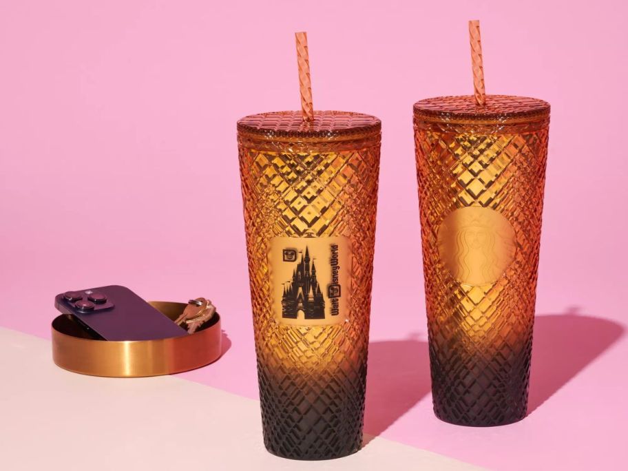 Disneyland Sleeping Beauty Castle Geometric Starbucks Tumbler Table Top with Straw