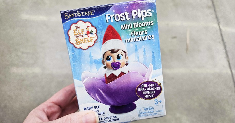 hand holding box for Elf on the Shelf Frost Pips