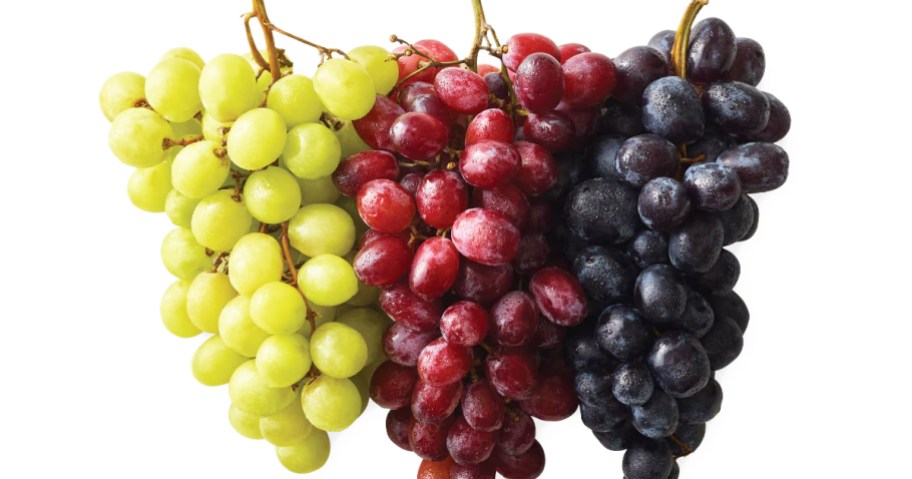 bunches of green, red, and black grapes