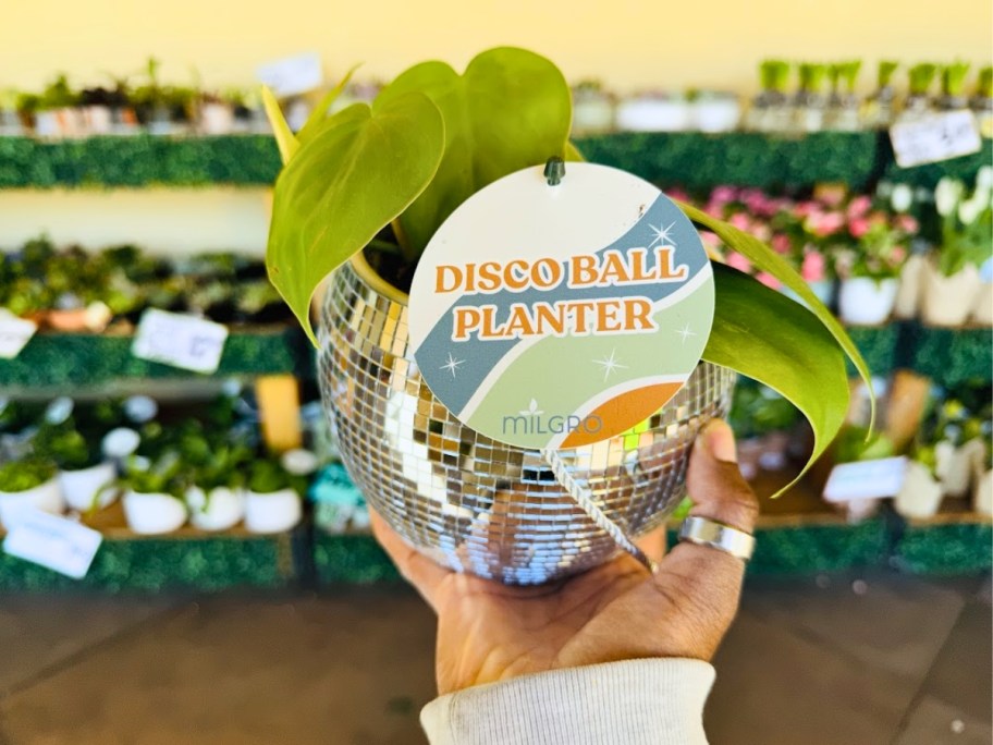 hand holding a green leafy plant in a silver mirror disco ball like planter container with a tag that says Disco ball Planter on it