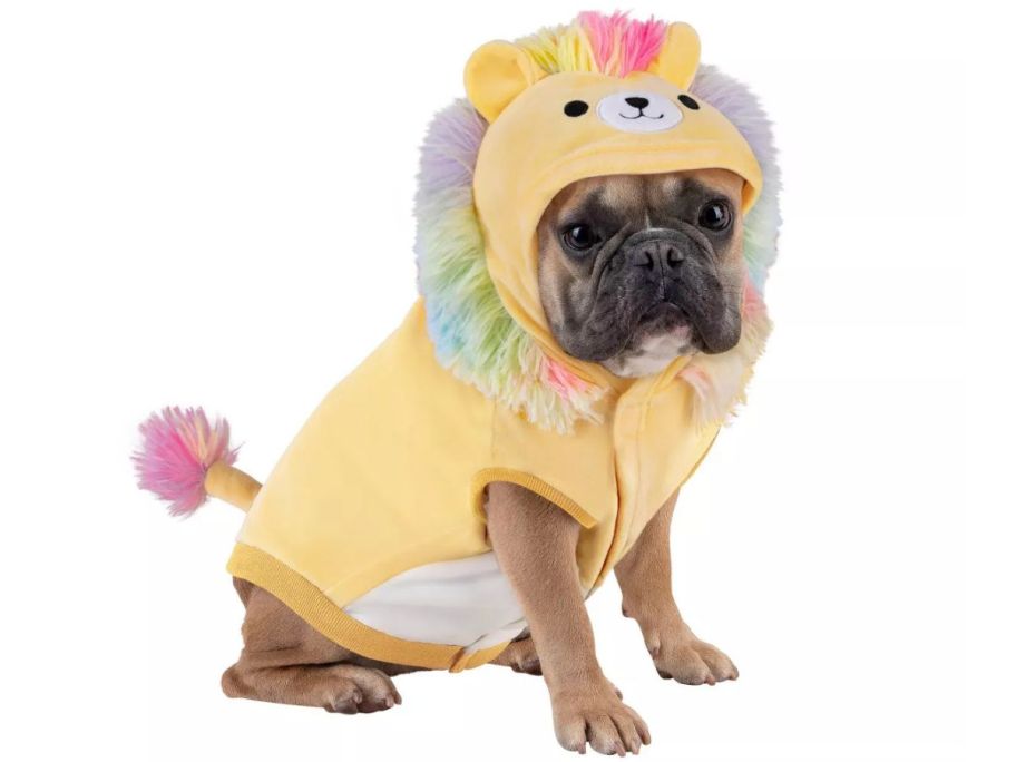 Halloween Squishmallows Leonard The Lion Dog Full Body Costume 