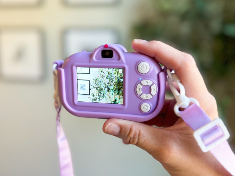 Hand holding kid camera showing the view