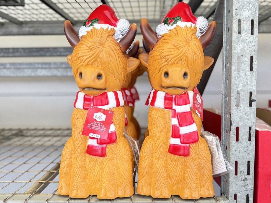 highland cow christmas blow molds on store shelf