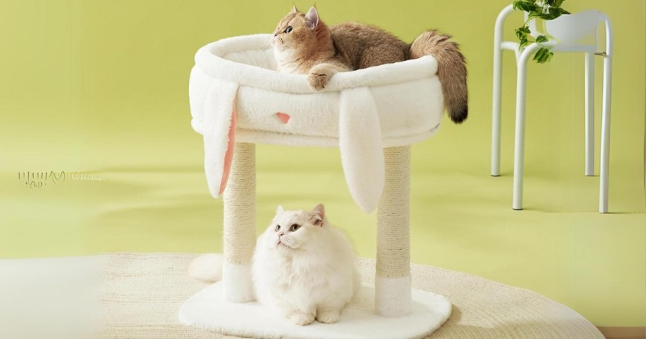 a cat tree tower with a pink bunny rabbit top pet bed and pink base with a greyish tan cat sitting on top and a white cat sitting on the bottom