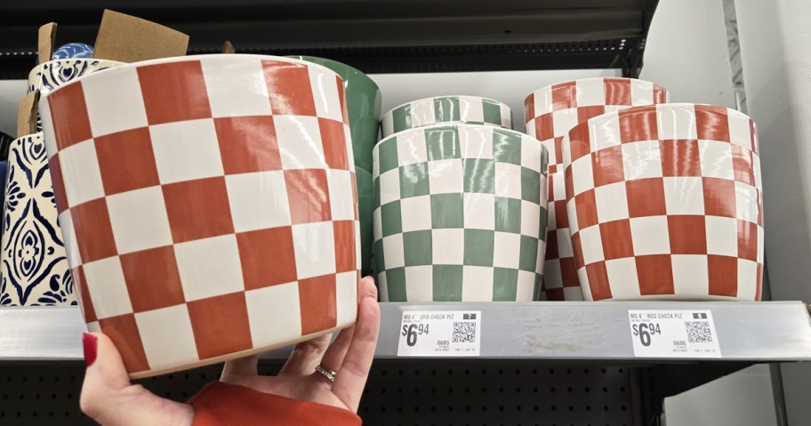 hand holding a red and white checkered planter in front of shelf with more