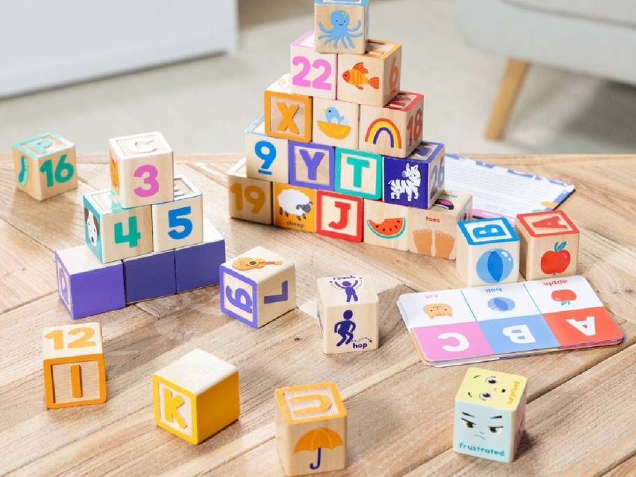 Mrs Rachel blocks set with animals and action cards