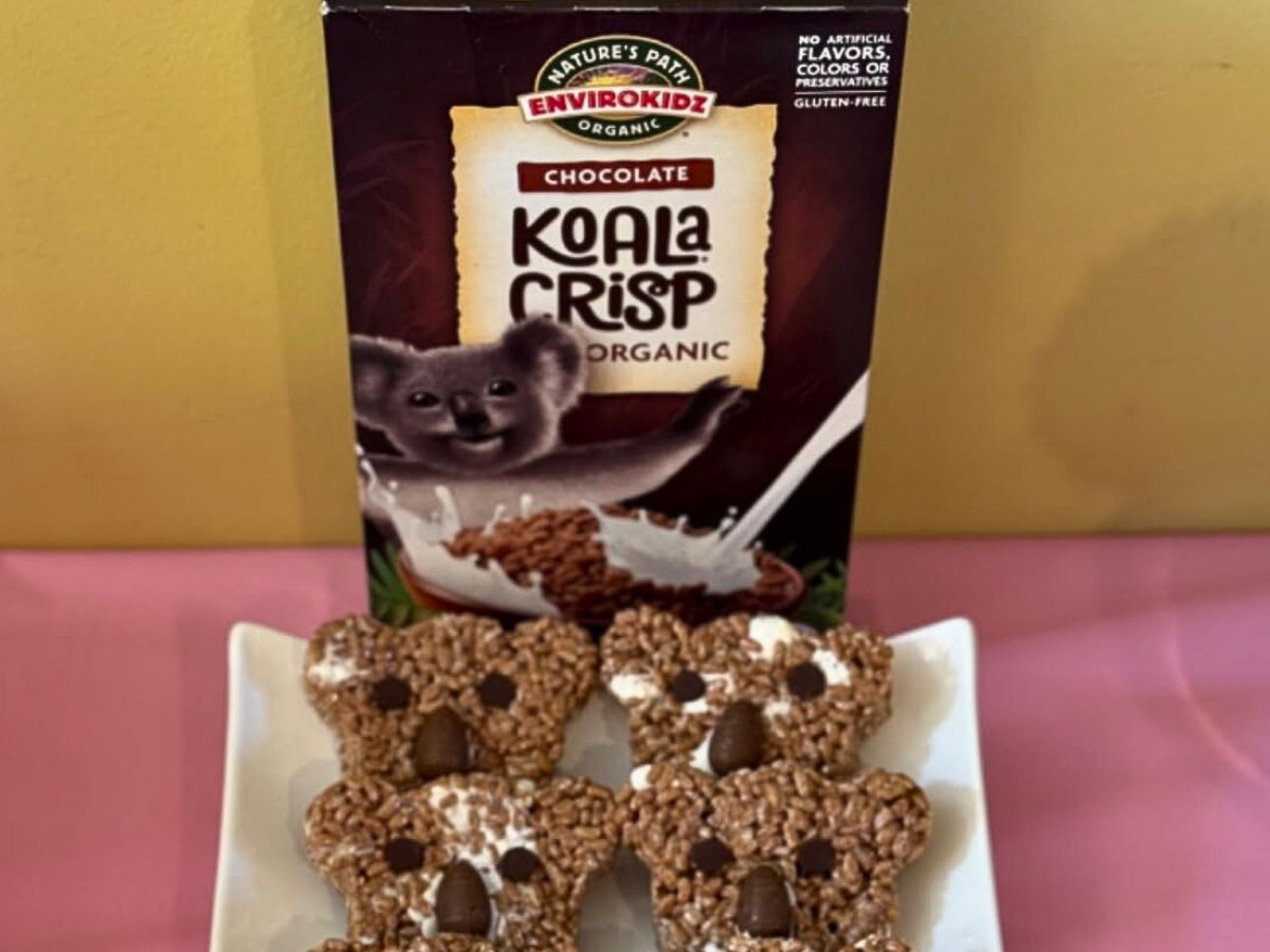 Nature’s Path Koala Crisp Organic Cereal 11.5oz Box JUST $2.53 Shipped on Amazon – Best Price!