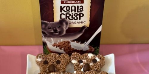 Nature’s Path Koala Crisp Organic Cereal 11.5oz Box JUST $2.53 Shipped on Amazon – Best Price!