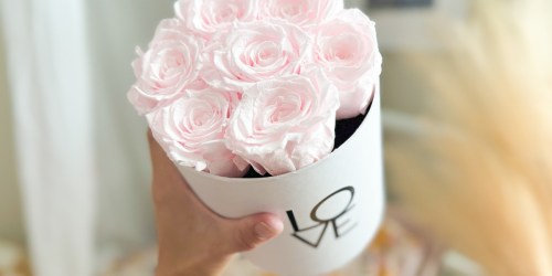 Stunning Preserved Rose Bouquets from $14.99 on Amazon | This Gift Will Last for Years!