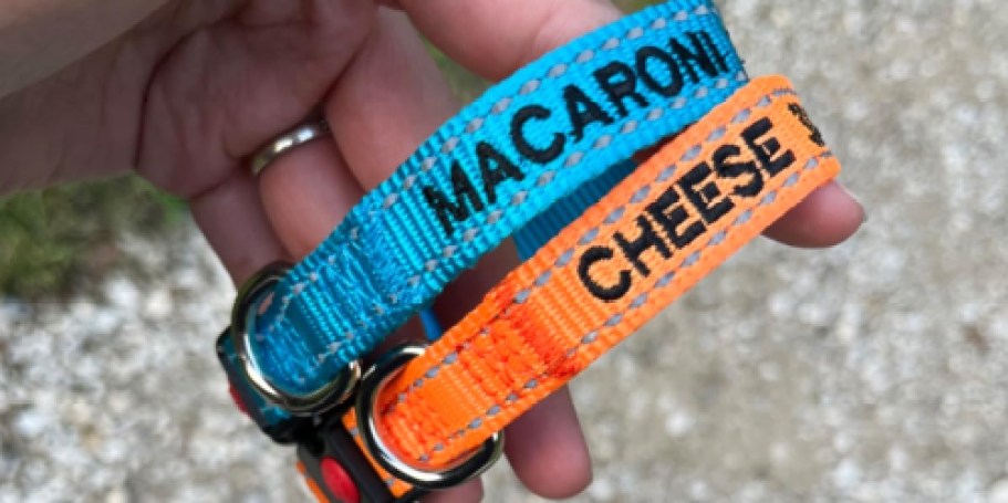 Personalized Reflective Dog Collars from $6.99 Shipped on Amazon (Reg. $14)