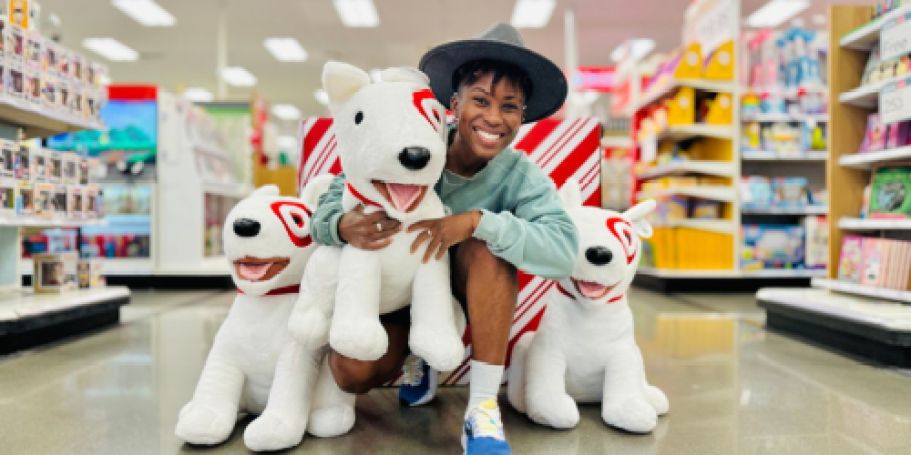 *NEW* Large 24″ Target Bullseye Plush Drop on November 17th (Won’t Last Long)