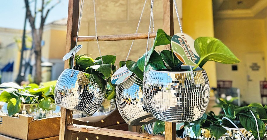 disco ball planters hanging from plant stand outside of store