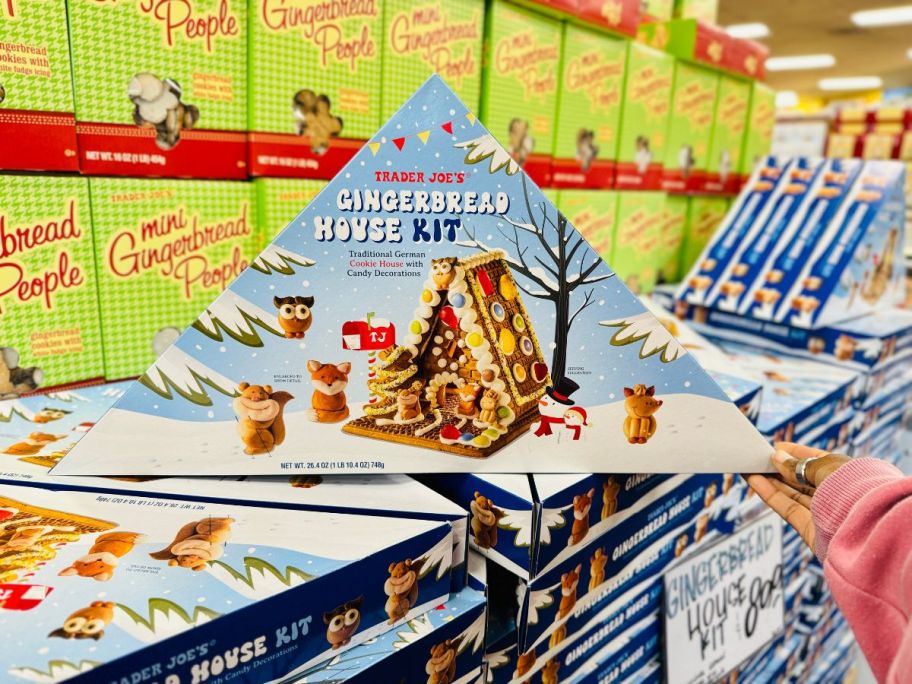 Trader Joe's Gingerbread House Kit