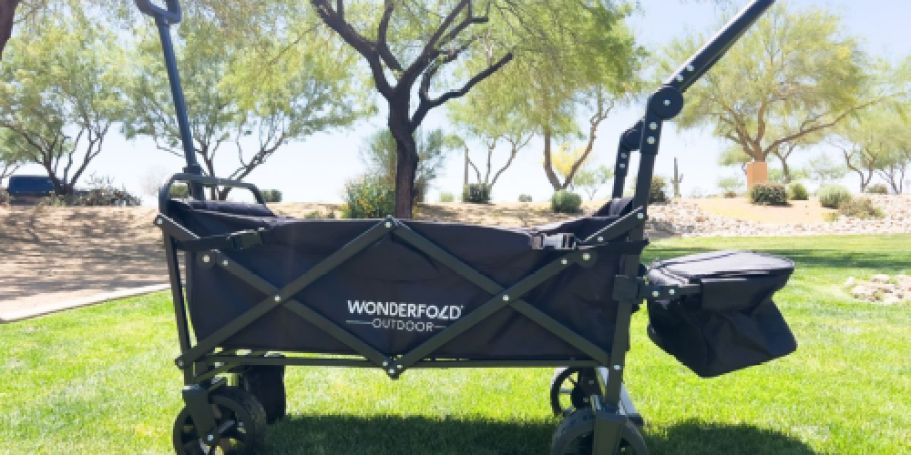 Wonderfold Push & Pull Wagon JUST $69.99 Shipped ($235 Value) – Includes Cooler!