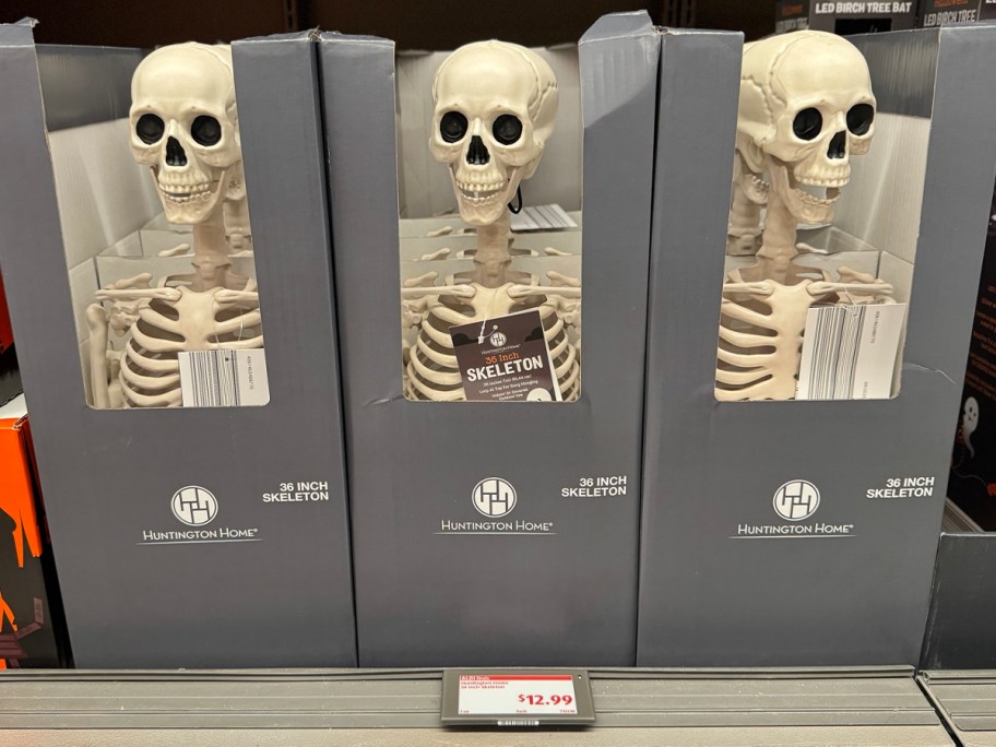 three boxes with skeletons on shelf in store