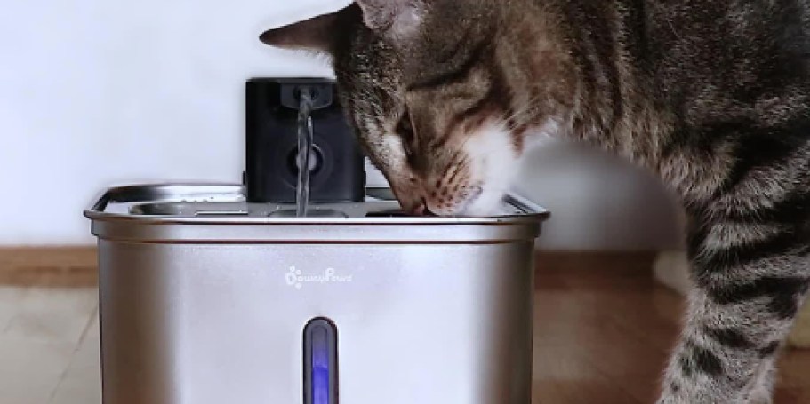 Wireless Stainless Steel Cat Water Fountain Only $34.99 Shipped for Amazon Prime Members