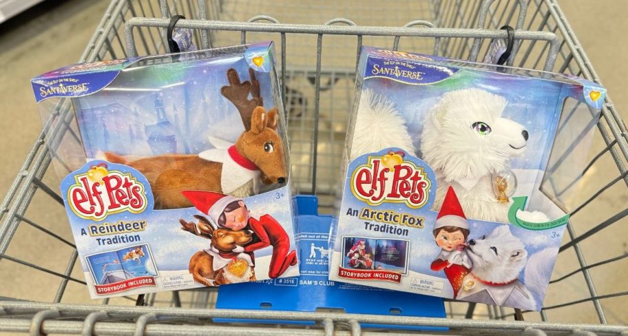 two elf on the shelf elf pets in a shopping cart 