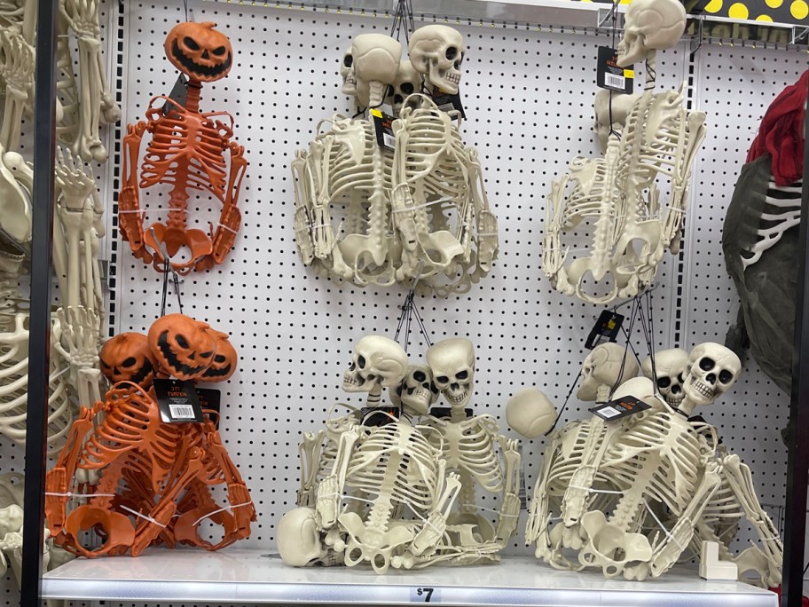 orange and white skeletons folded on display 