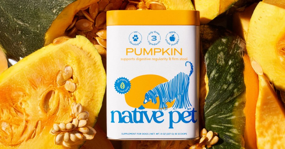 can of native pet pumpkin powder with real pumpkins