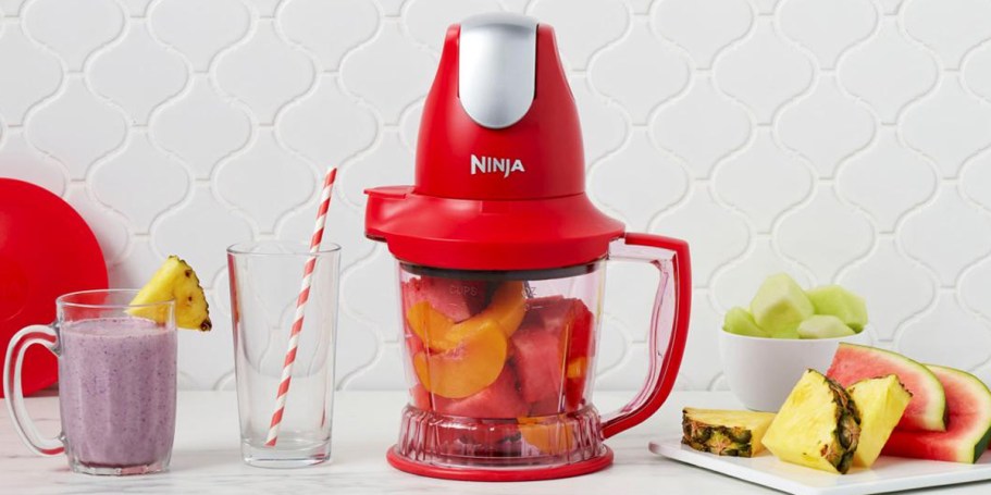 Ninja Storm Food & Drink Mixer from $21.99 Shipped (Reg. $40)