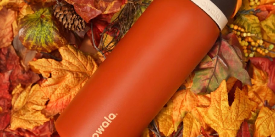 NEW Fall Owala Water Bottles Only $27.99 at Target