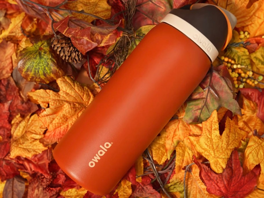 NEW Fall Owala Water Bottles Only $27.99 at Target: hip2save — LiveJournal
