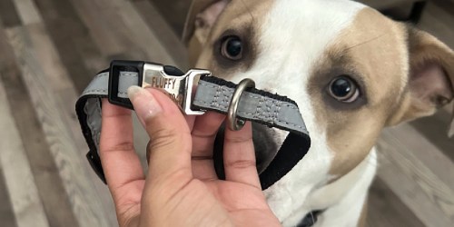 WOW! Personalized Reflective Dog Collars from $5.49 Shipped on Amazon