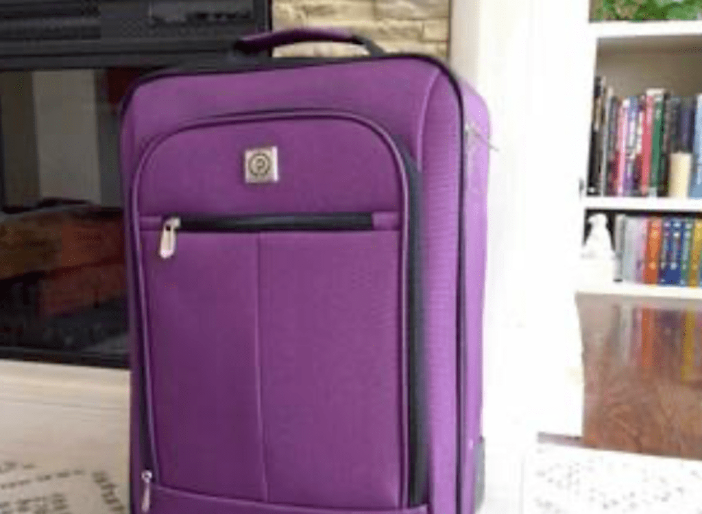Protege 18 Carry On Luggage Just 17.42 on Walmart Hip2Save