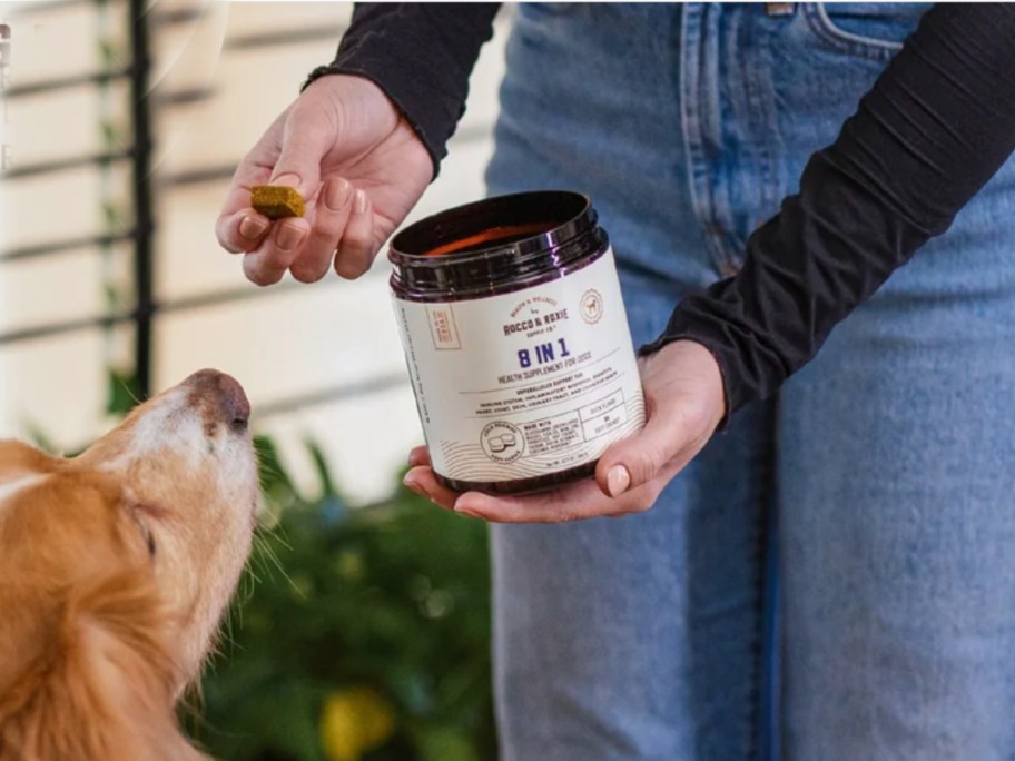 hand feeding dog treat