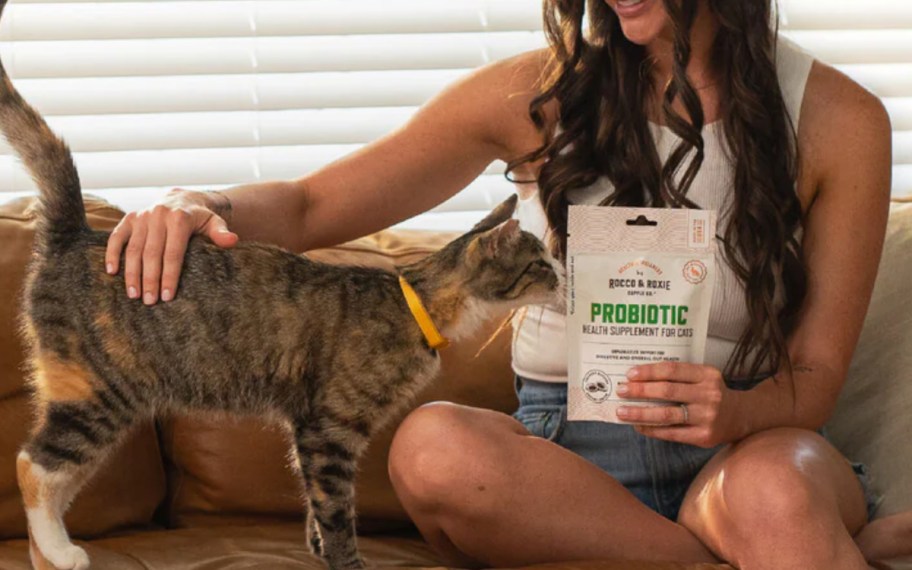 woman holding cat treats petting cat