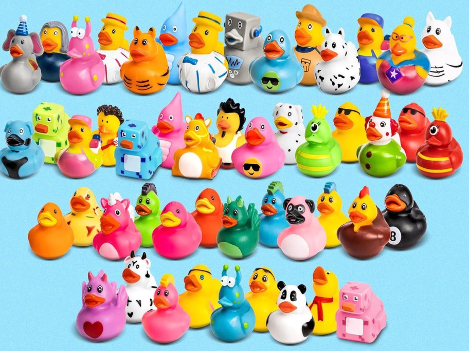 50 rubber ducks in different designs