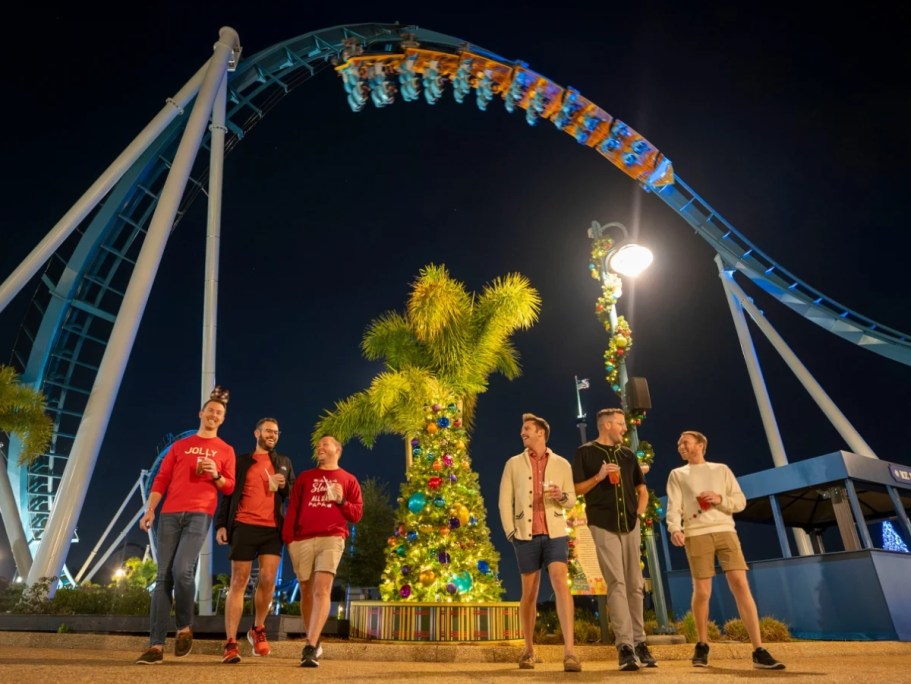 50% Off SeaWorld Tickets (Including Coasters After Dark: Christmas Edition!)