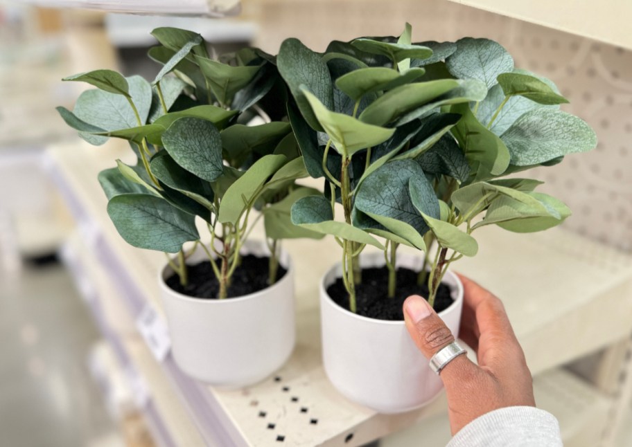 hand holding plant on shelf