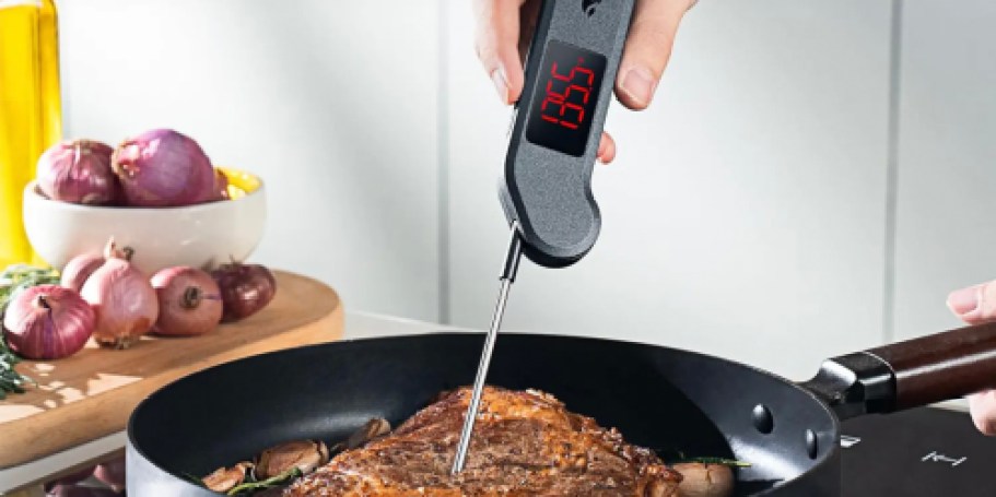 Digital Meat Thermometer Only $7.99 Shipped w/ Amazon Prime (Waterproof w/ Magnetic Back)