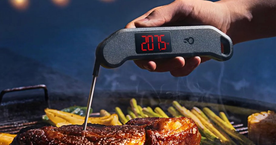 Digital Meat Thermometer Only $7.99 Shipped on Amazon (Waterproof w/ Magnetic Back)