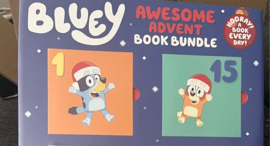 Bluey advent book -2