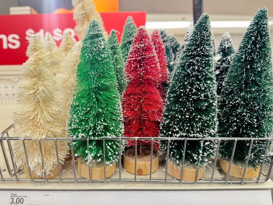 Bottlebrush Trees on shelf in store