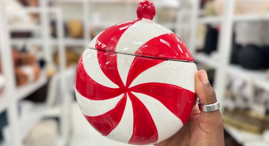 Candy Cane container displayed in womans hand