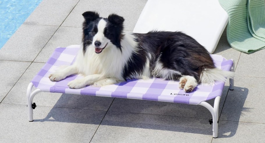 Elevated Dog Bed in Lilac Checks