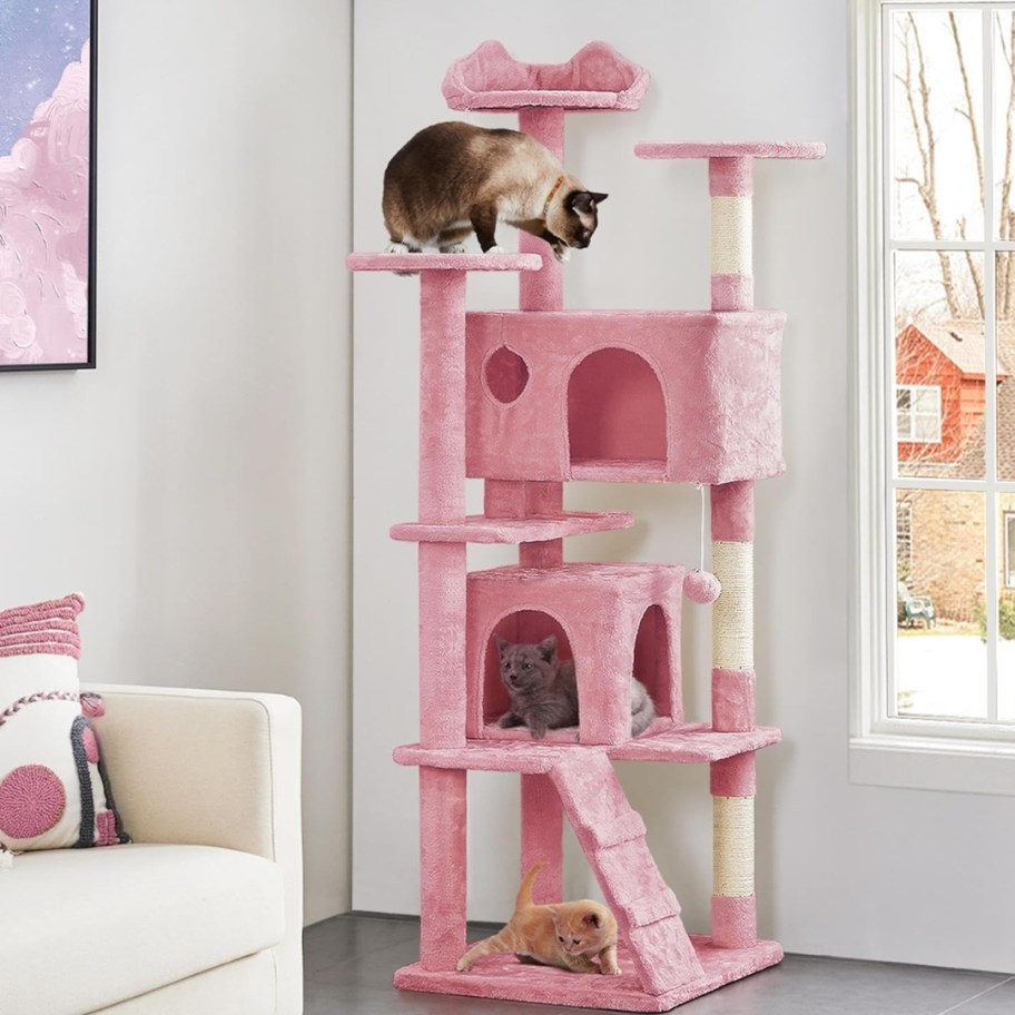 a pink and white tall cat tree in a living room with cats on it