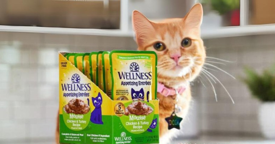 FREE Wellness Cat Food Sample & Spindrift Sparkling Water (Just Ask Alexa!)