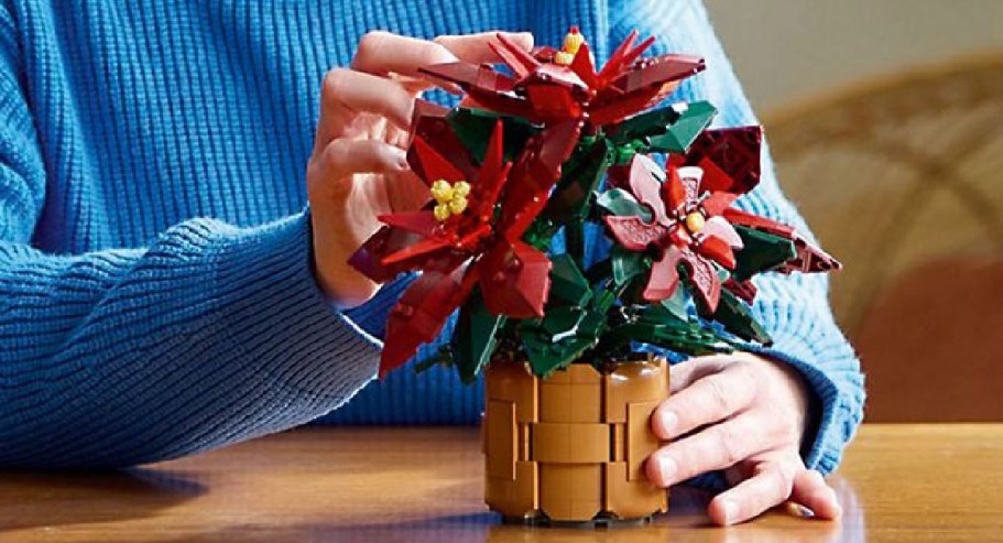 Top Sam’s Club Finds: LEGO Poinsettia Set Only $38.98 – Lowest Price Yet!