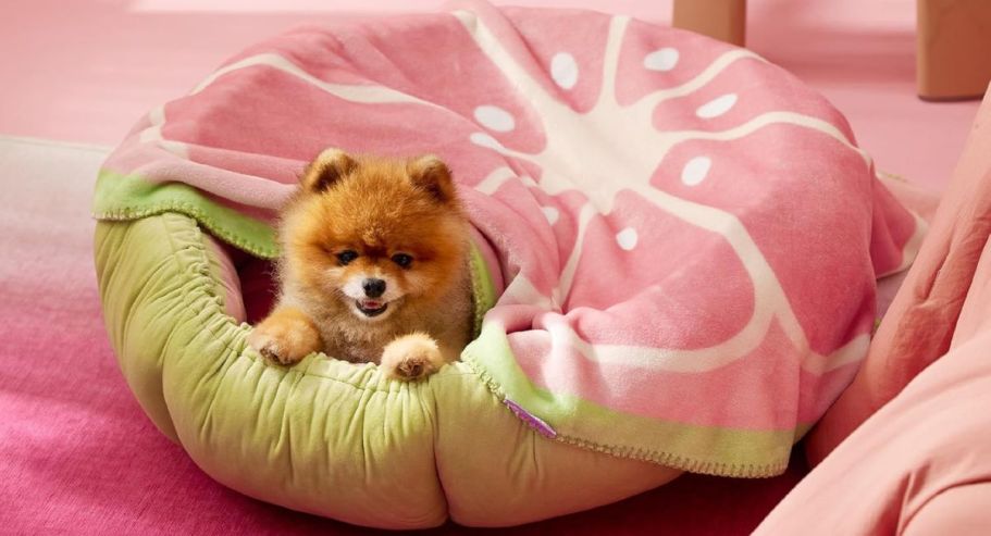 Calming Pet Fruit Blanket from $7.49 on Amazon (Regularly $15)