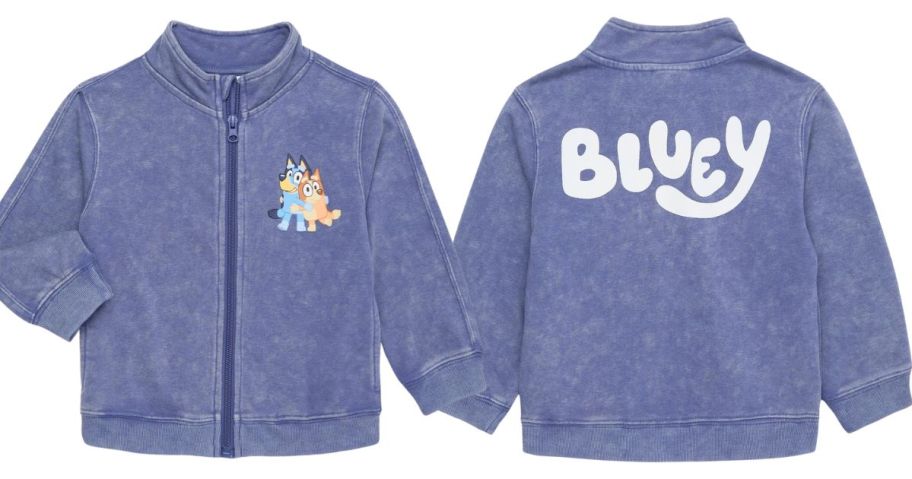 Licensed Character Toddler Boy Washed Graphic Zip-Up Jacket stock image