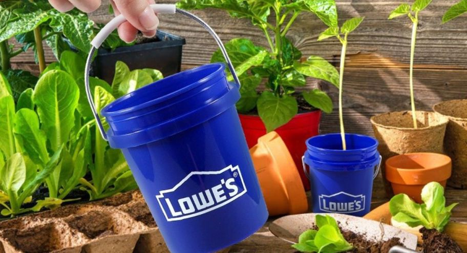 Lowes mini buckets displayed on flower