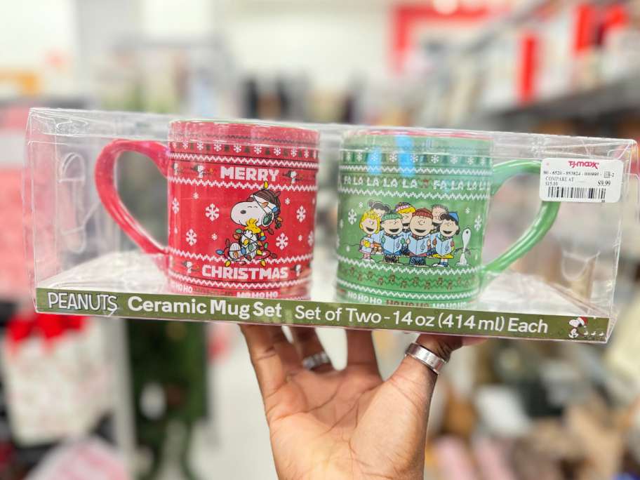 Peanuts Ceramic Mug Set at TJMaxx