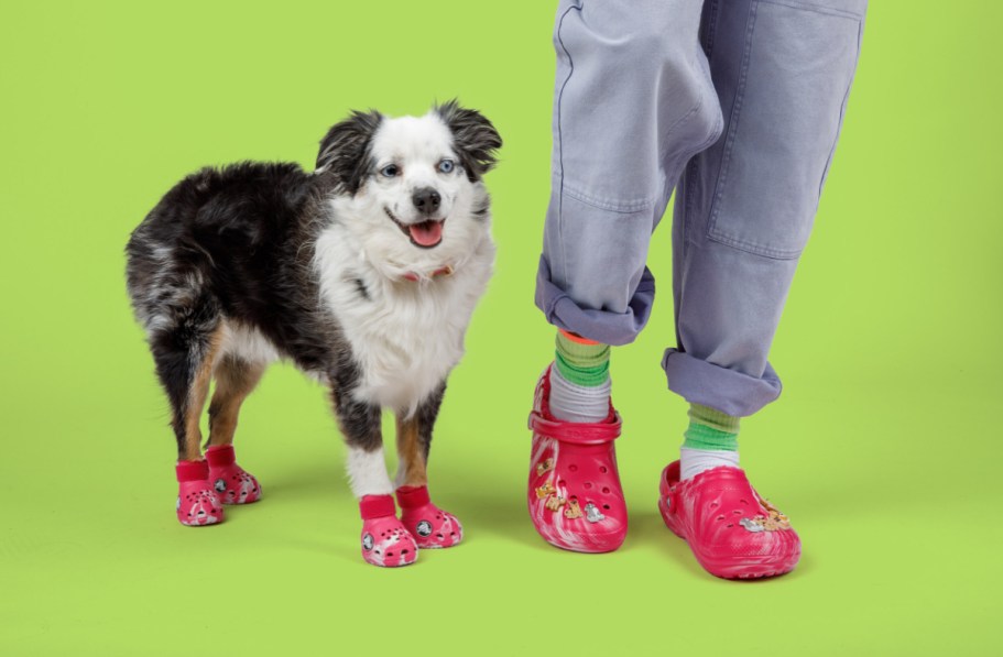 Get Ready to Twin with Your Pup: Matching Crocs for You & Your Furry BFF Drop Oct. 23rd!