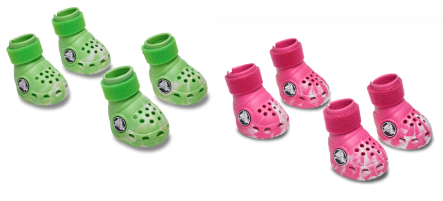 Pet Crocs in Green Slime and Pink Dragonfruit