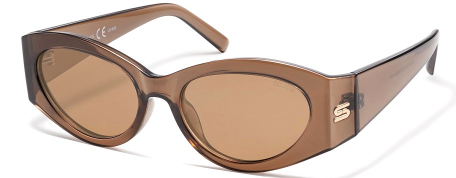 pair of brown sunglasses with brown lesnes